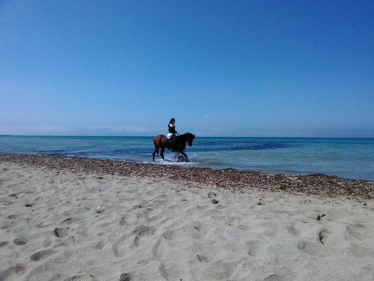 Villa Blanche Dimora Di Charme Marsala Eksteriør billede